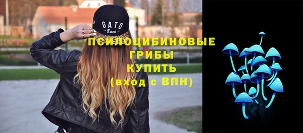 винт Алексин