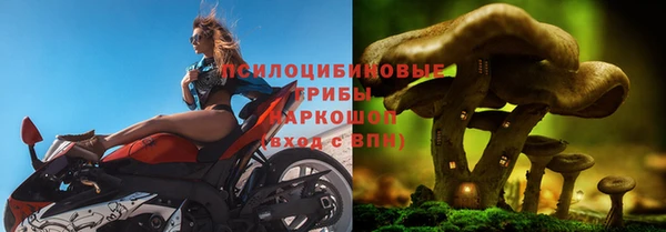 винт Алексин