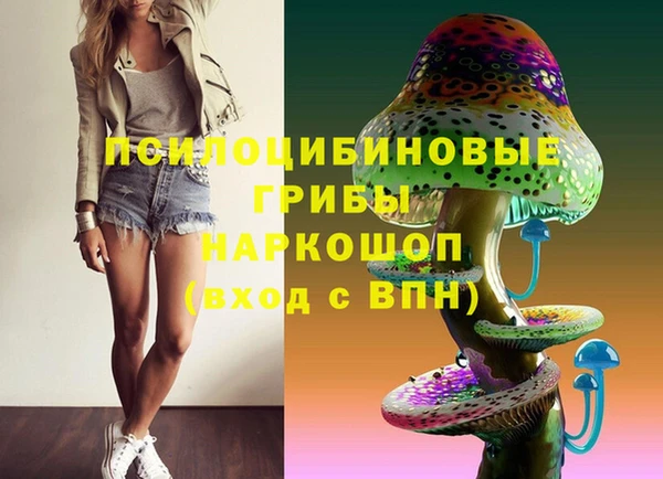 винт Алексин