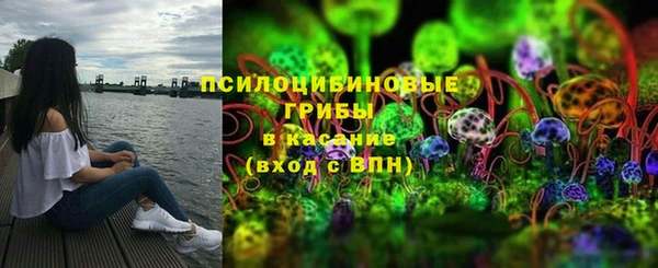 дмт Алзамай