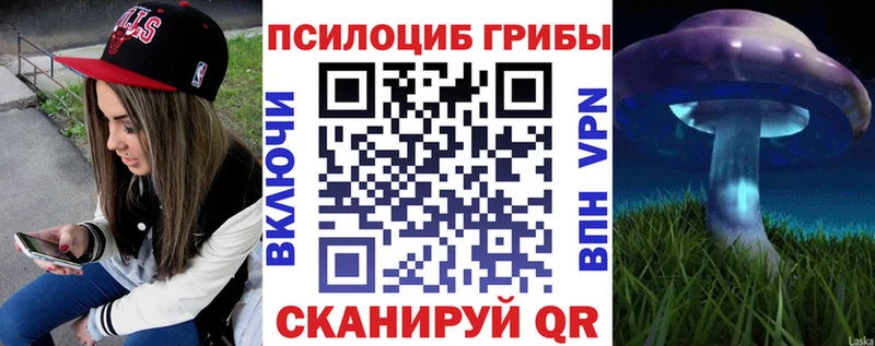 Псилоцибиновые грибы мухоморы  это официальный сайт  Узловая 